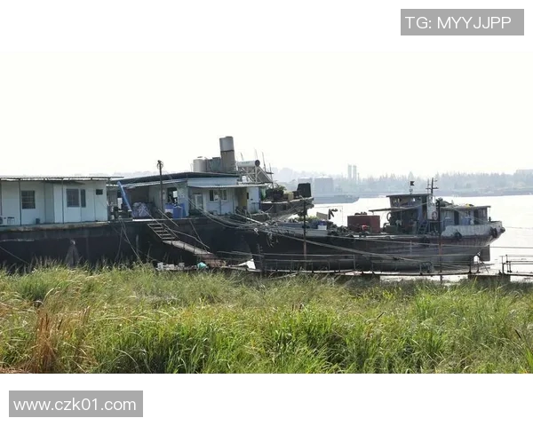 足球明星的私密时光揭秘他们的生活与训练背后的故事